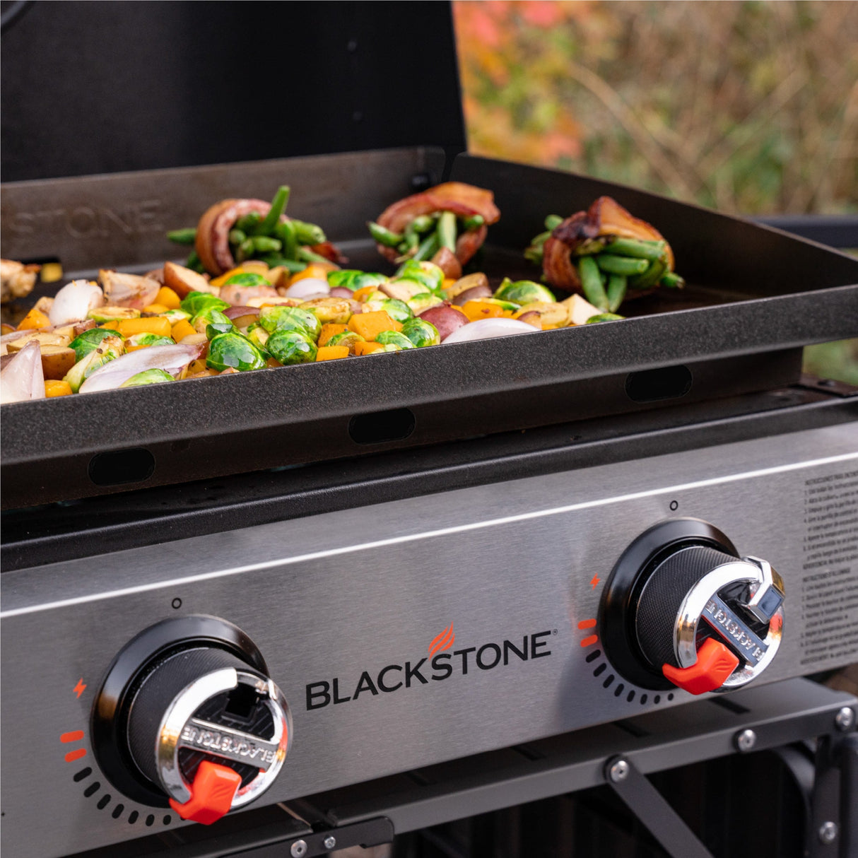 Blackstone 22 Inch Table Top Griddle With Hood