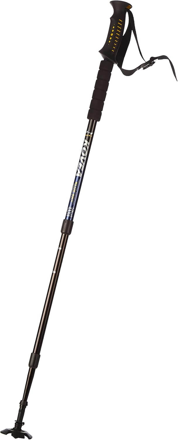 Blue Sky Trekking Pole