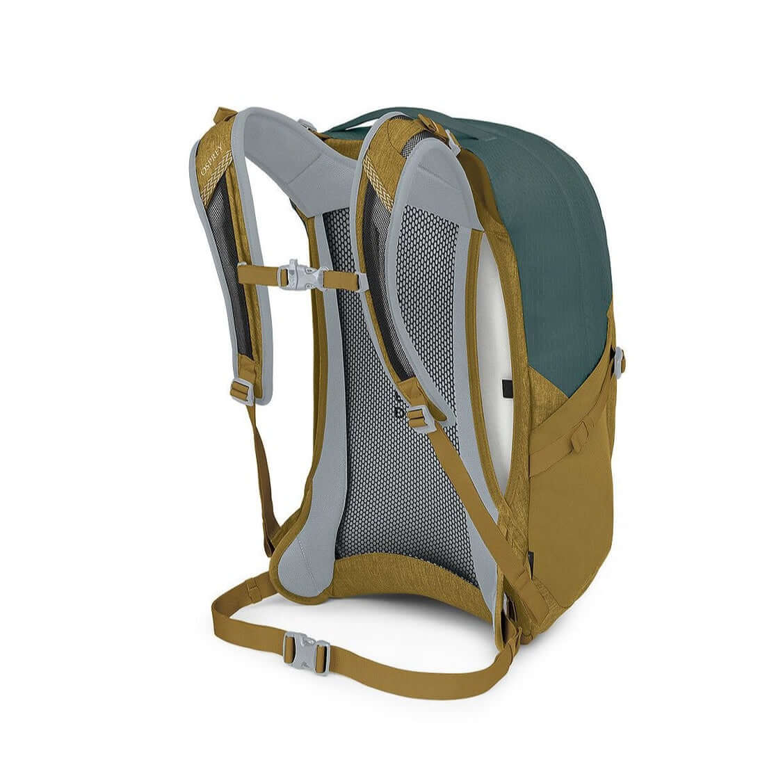 Parsec 26 (Green Tunnel / Brindle Brown)