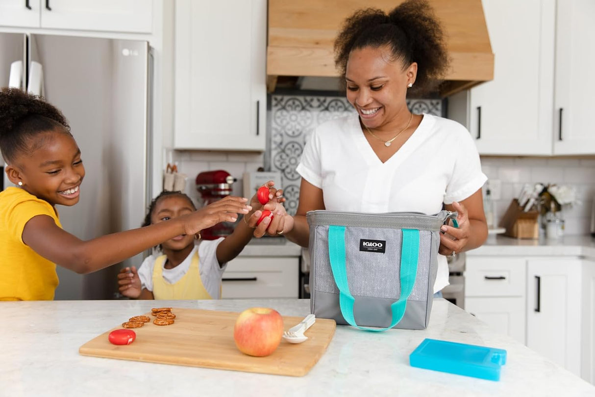 Maxcold Ice Medium Freeze Block