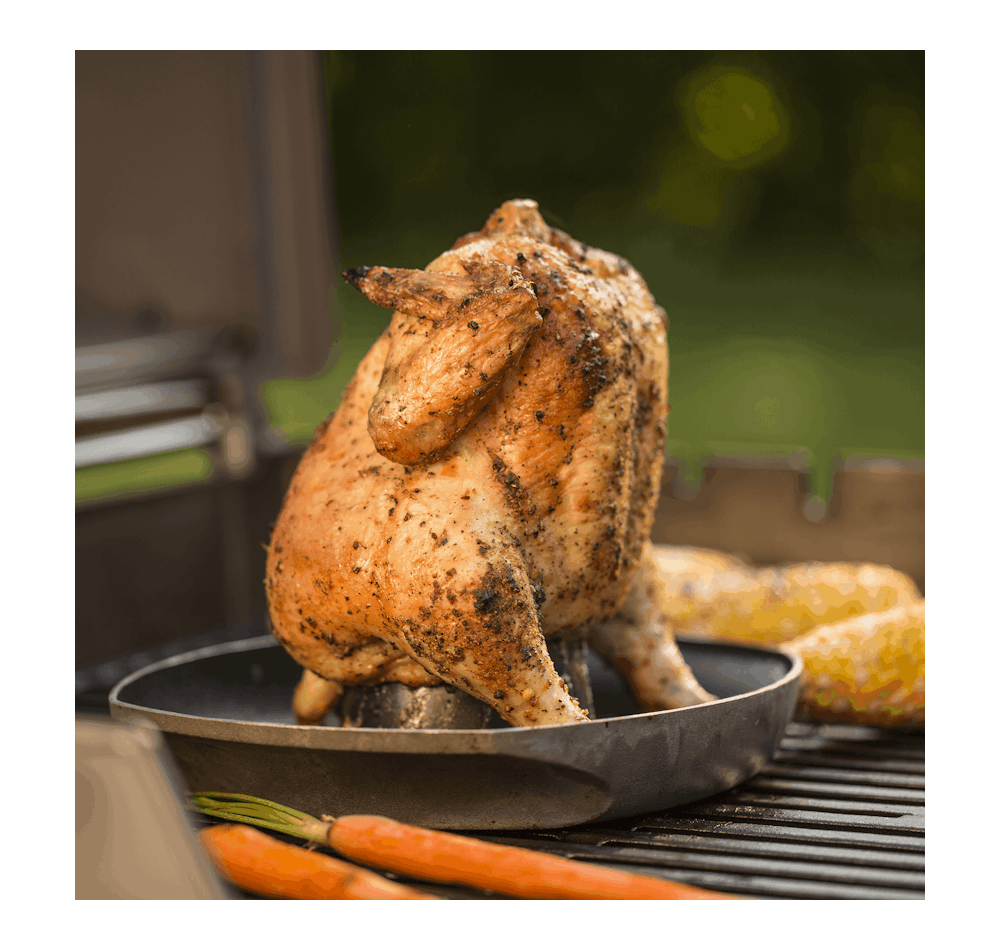 Deluxe Poultry Roaster