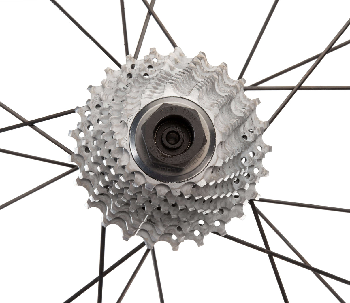 Park Tool Bottom Bracket / Cassette Lockring Tool — Campagnolo