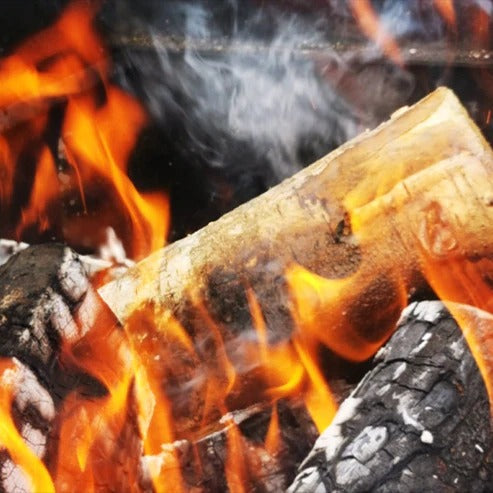 Birch Firewood - 40L