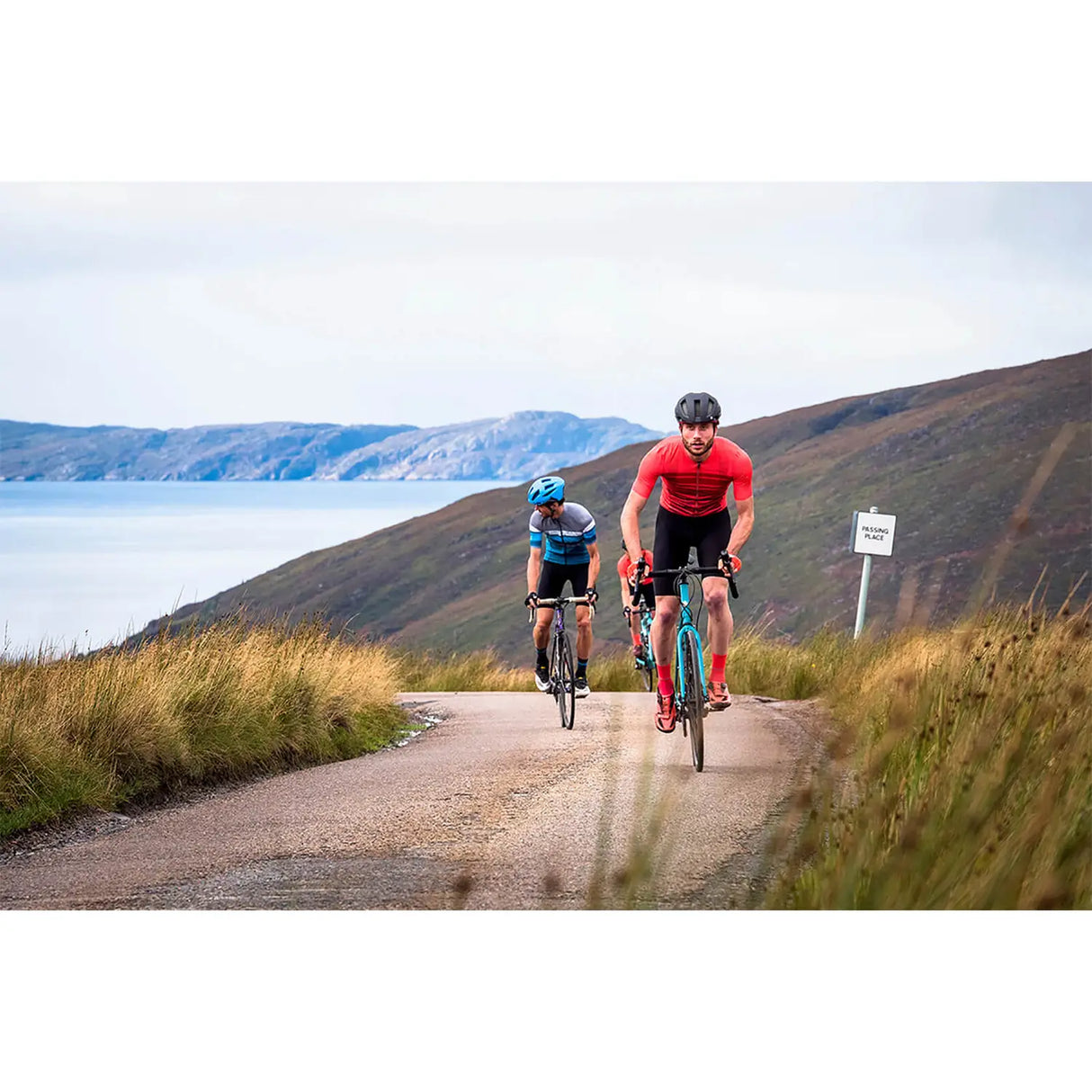 Pro SL Sock II - Men