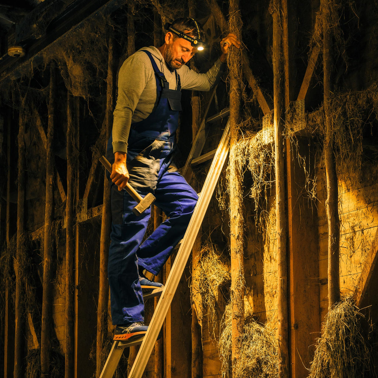 Ledlenser Headlamp H7R Work Rechargeable Light