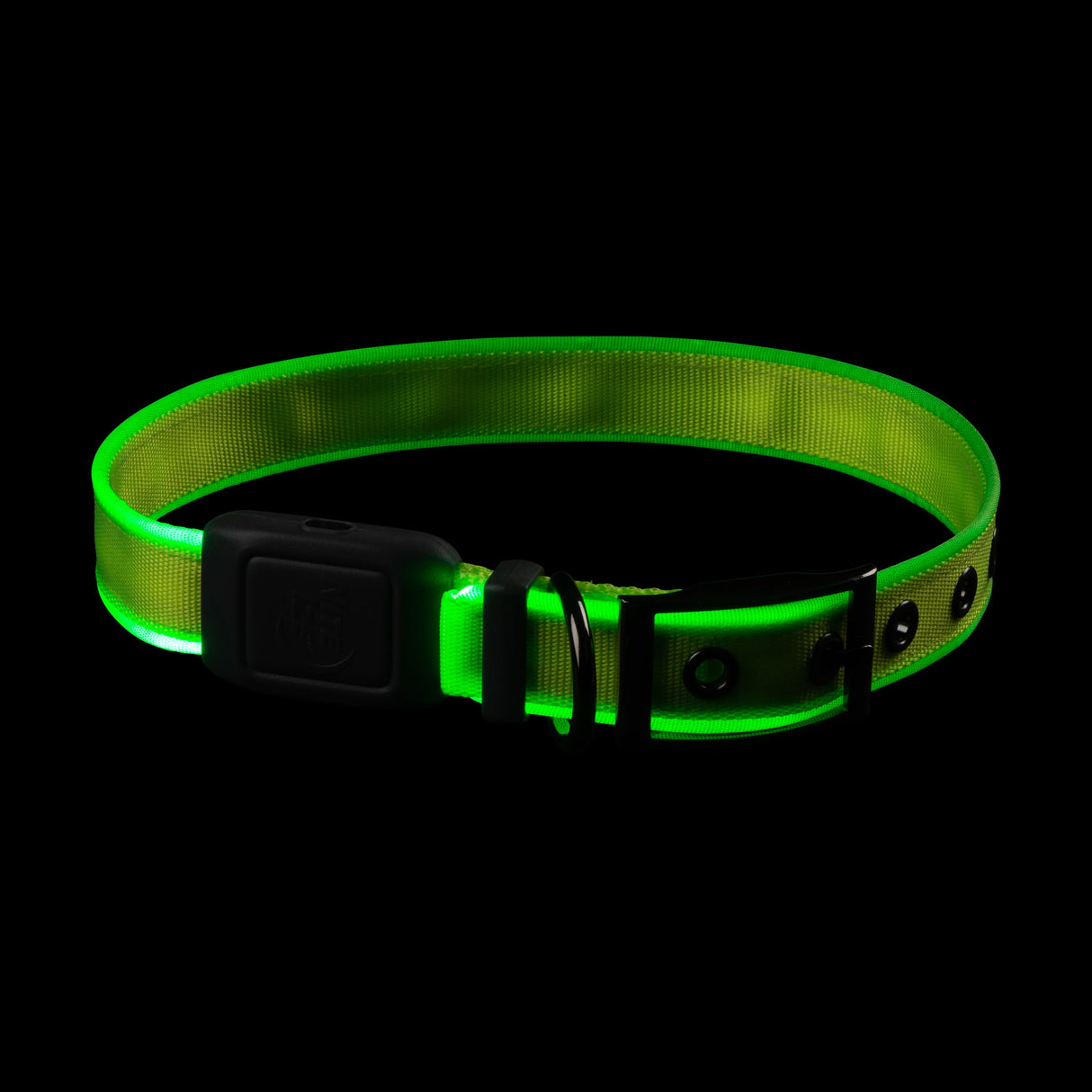 Nitedog Rechargeable LED Collar