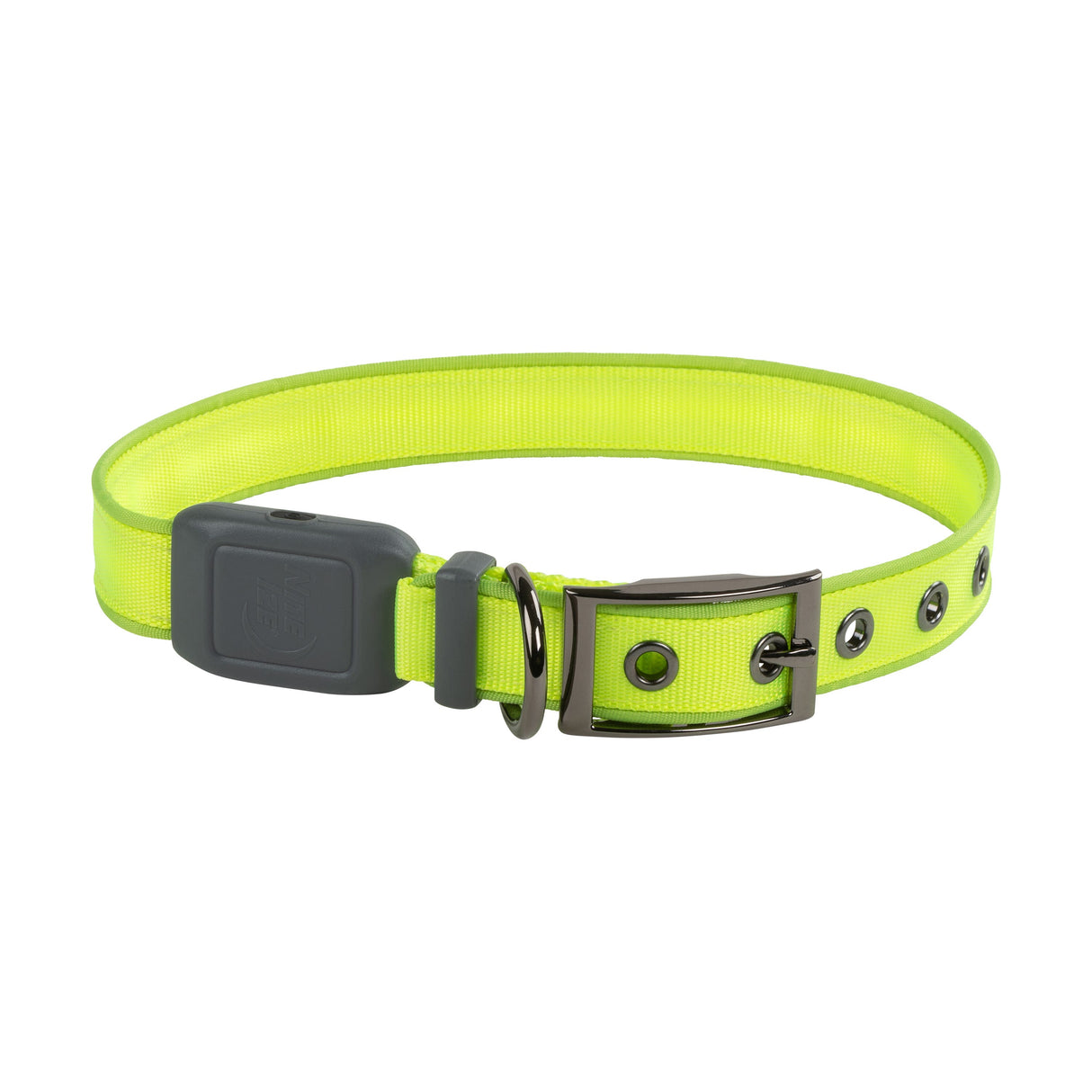 Nitedog Rechargeable LED Collar
