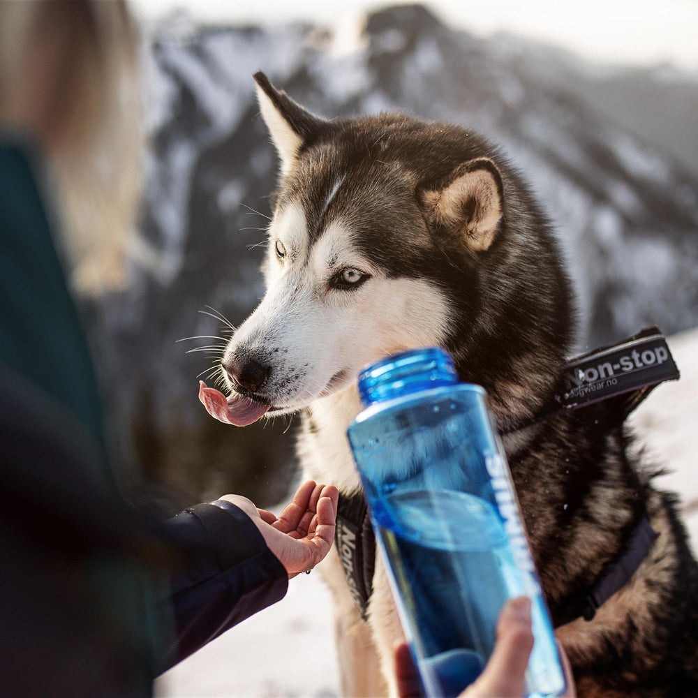 TrailBottle Tritan - 20 oz / 600 ml