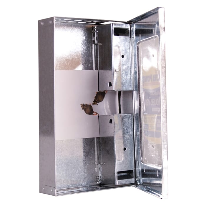 Live Multi-Catch Mouse Trap (Metal)