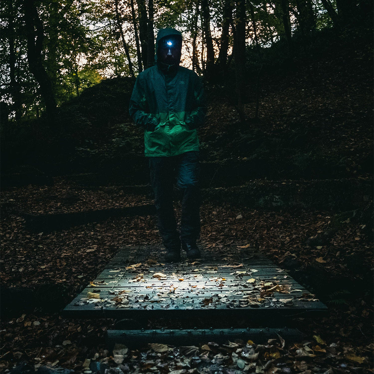 Deneb Sensor Rechargeable Head Torch