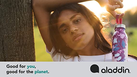 Chilled Thermavac Stainless Steel Water Bottle - 18 oz / 550 ml