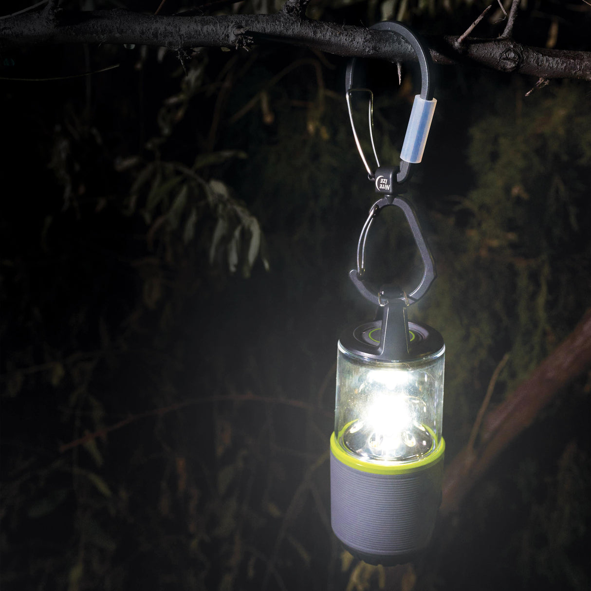 FlipOut Dual Carabiner