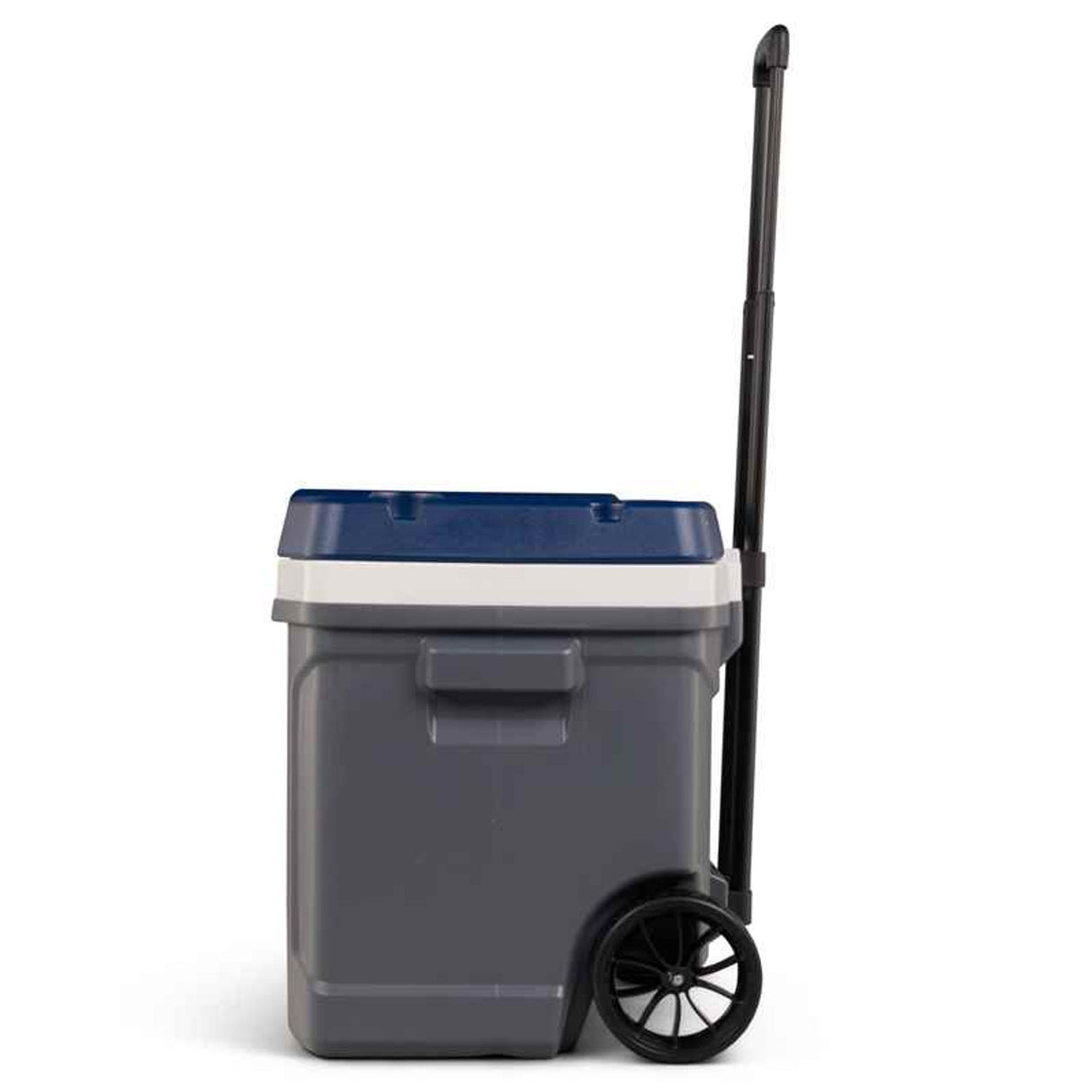 Maxcold Latitude 62Qt / 28L Roller Cooler