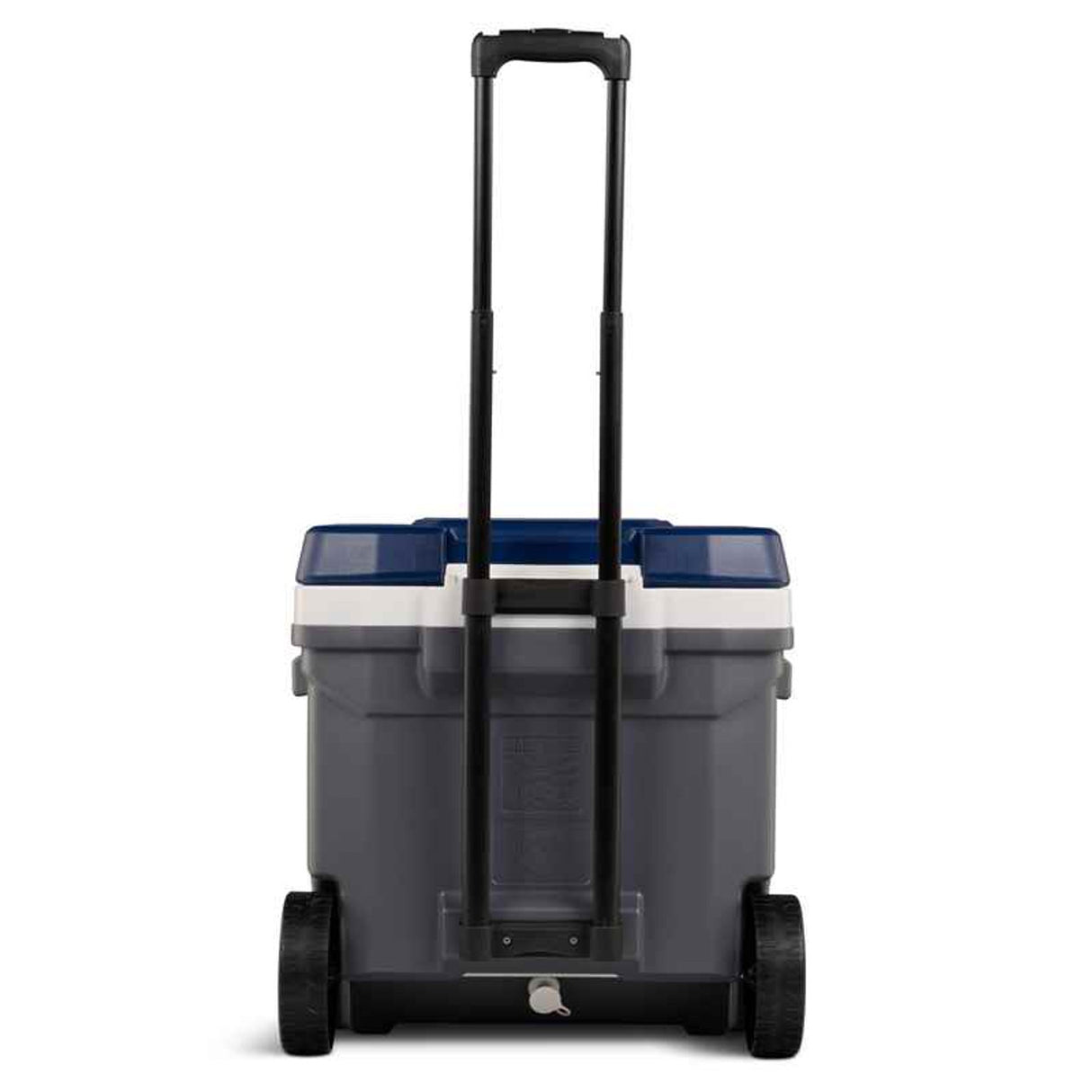 Maxcold Latitude 62Qt / 28L Roller Cooler