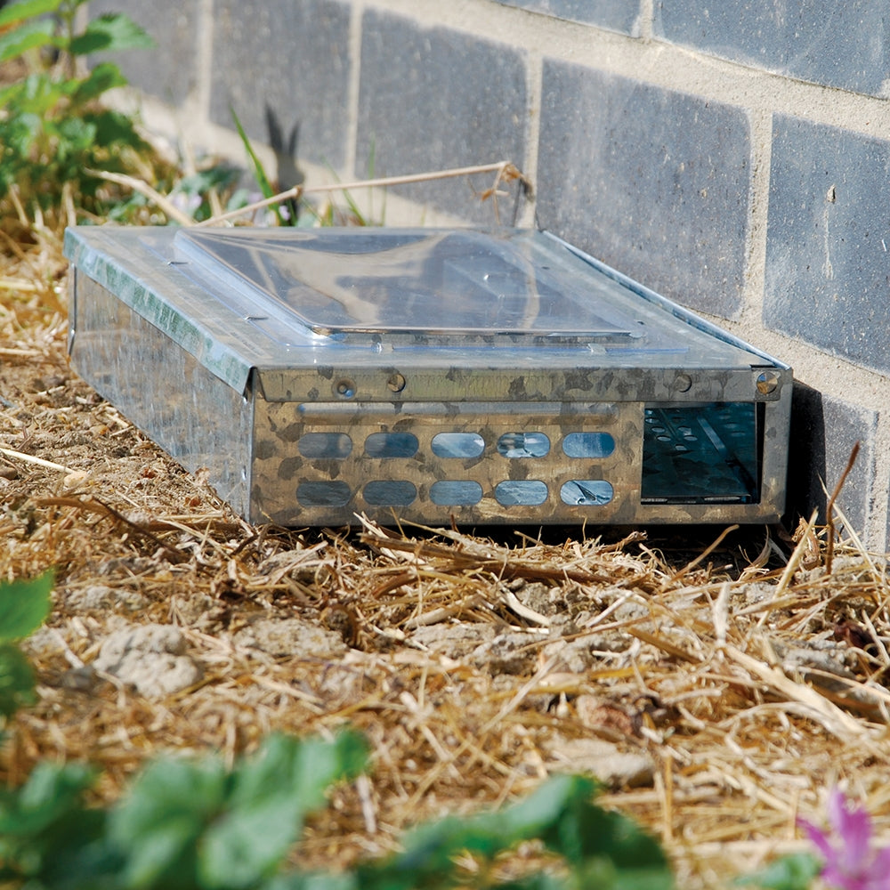 Live Multi-Catch Mouse Trap (Metal)