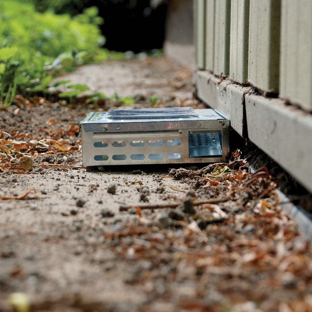 Live Multi-Catch Mouse Trap (Metal)