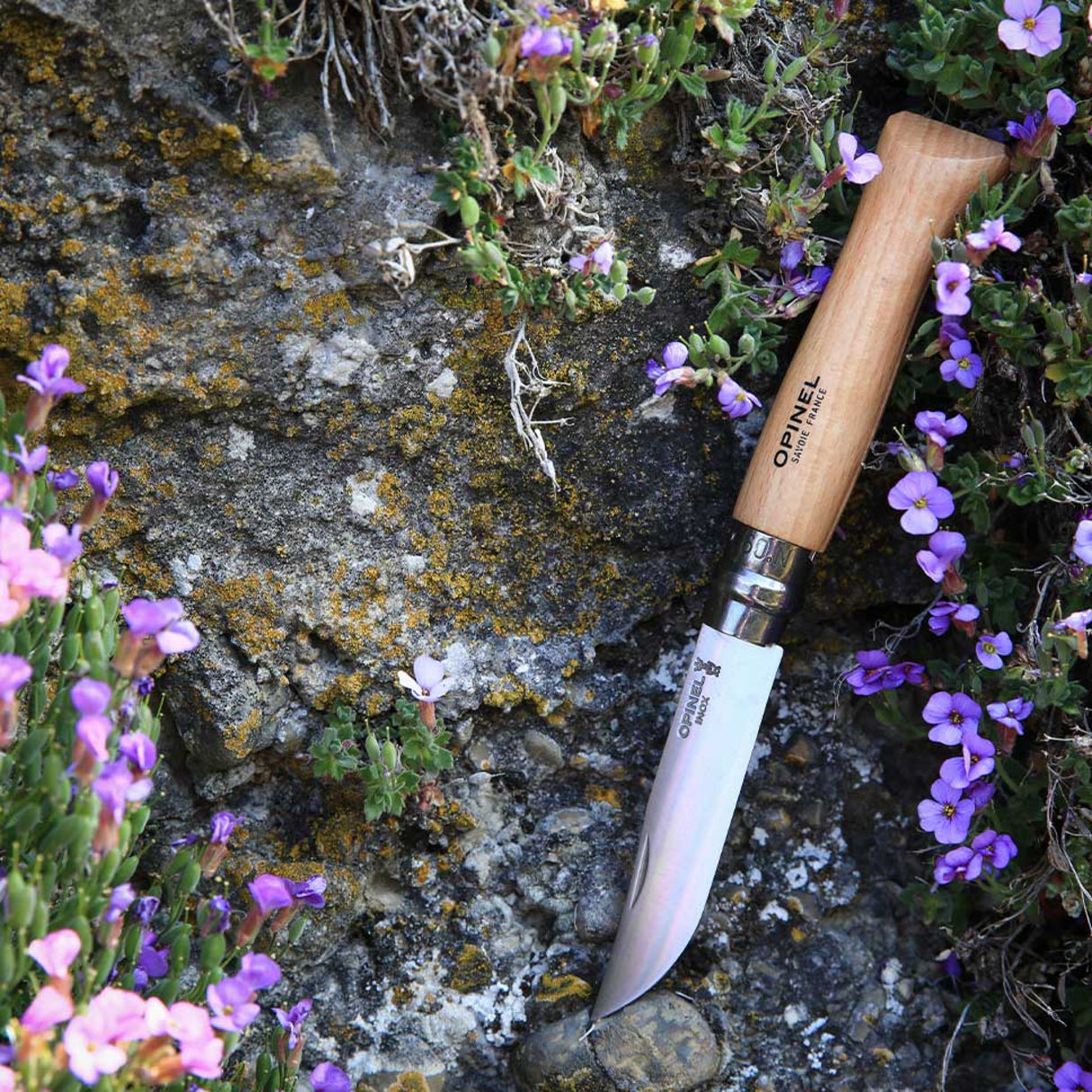 Opinel Traditional Stainless Steel Knife with wooden handle in a natural outdoor setting surrounded by purple flowers.