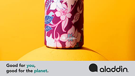 Chilled Thermavac Stainless Steel Water Bottle - 18 oz / 550 ml