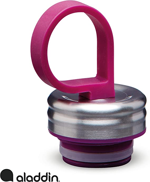 Chilled Thermavac Stainless Steel Water Bottle - 18 oz / 550 ml