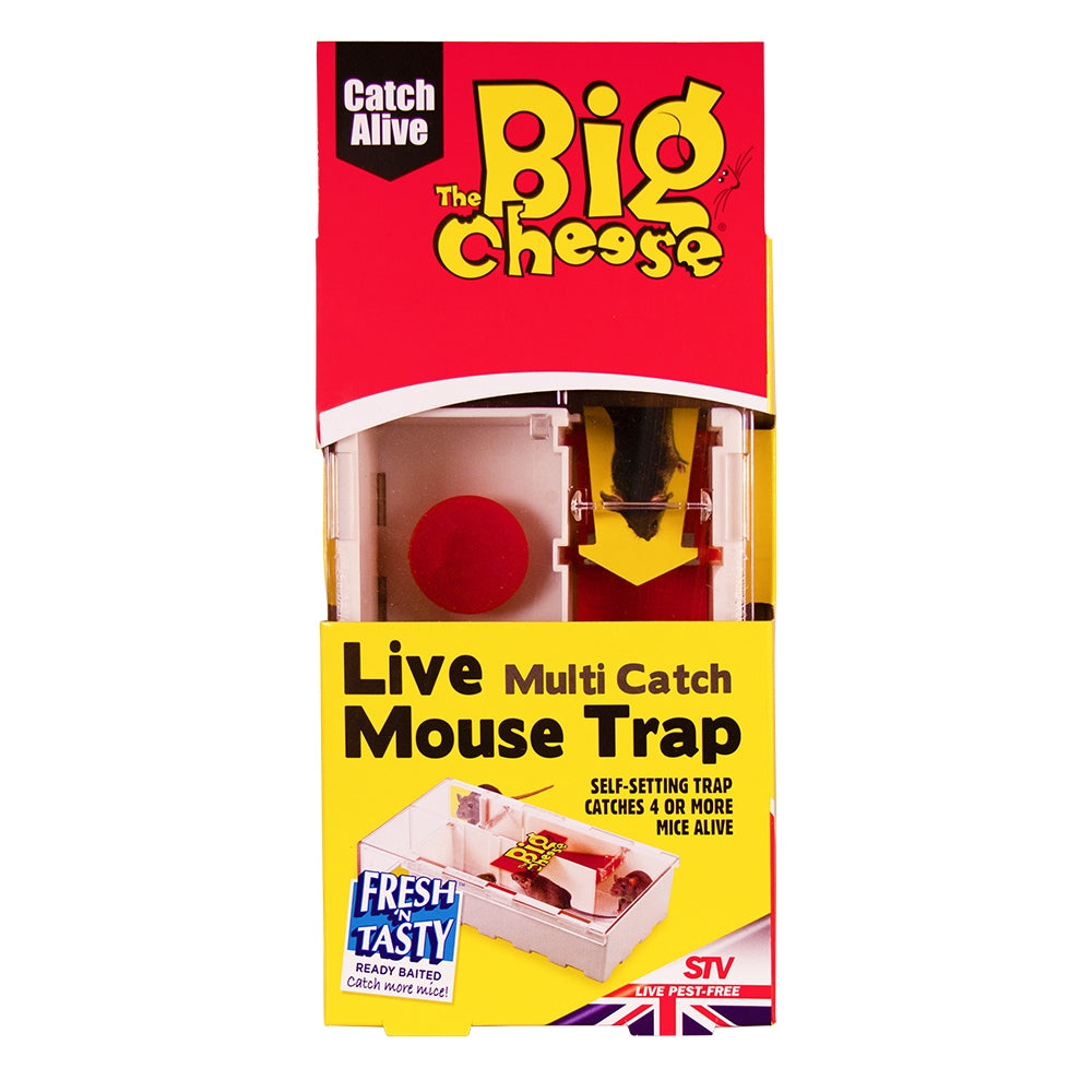 Live Multi-Catch Mouse Trap (Plastic)