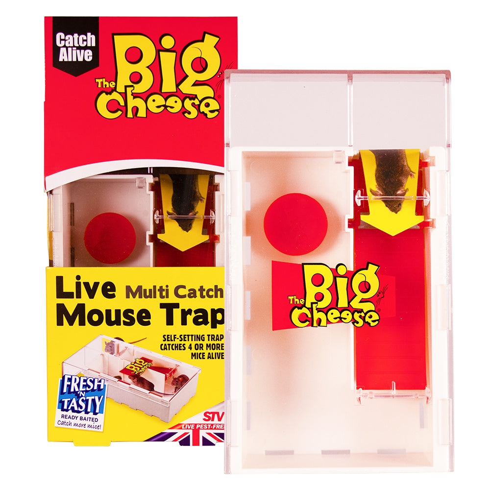 Live Multi-Catch Mouse Trap (Plastic)