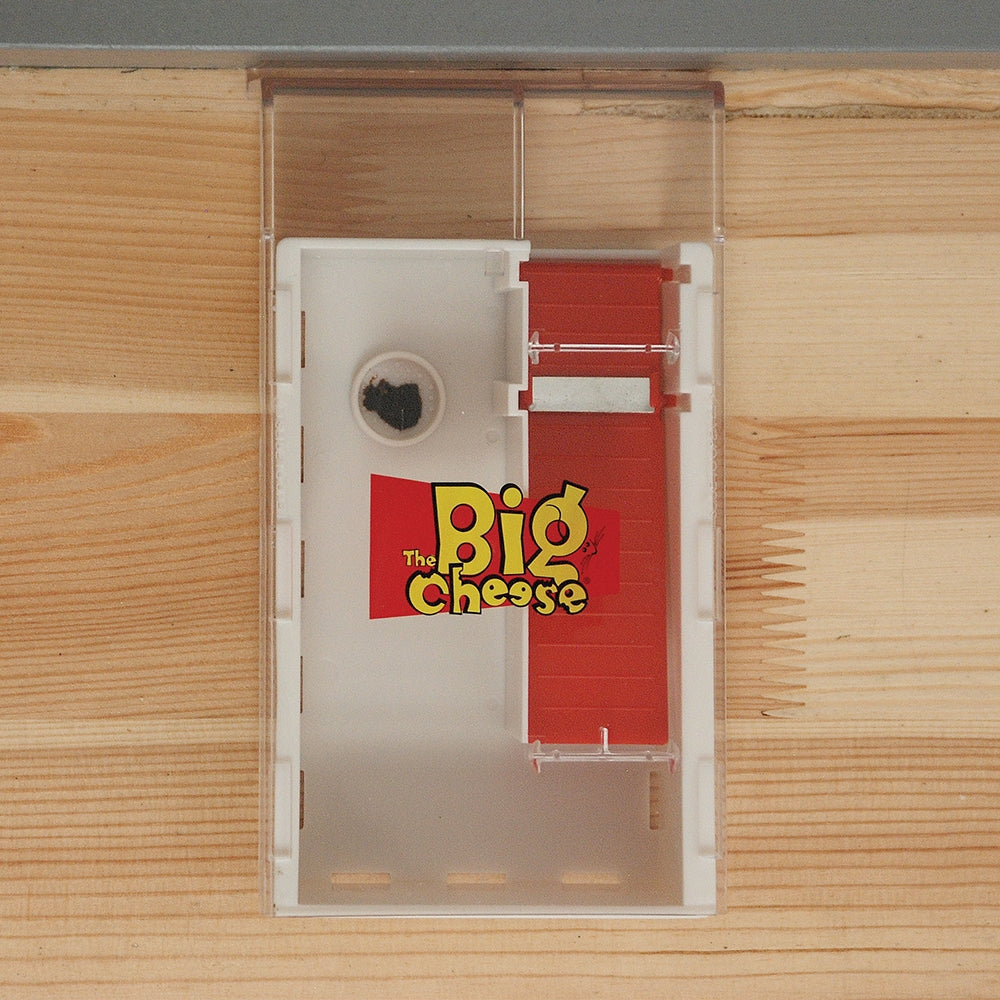 Live Multi-Catch Mouse Trap (Plastic)