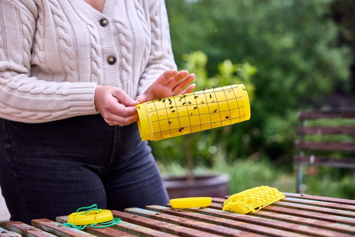 STV Zero In New Gen Fly Traps Refills - 3-Pack