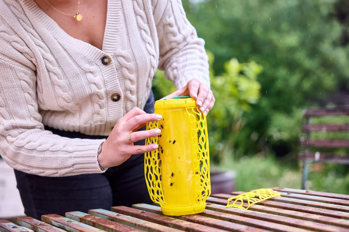 STV Zero In New Gen Fly Traps Refills - 3-Pack