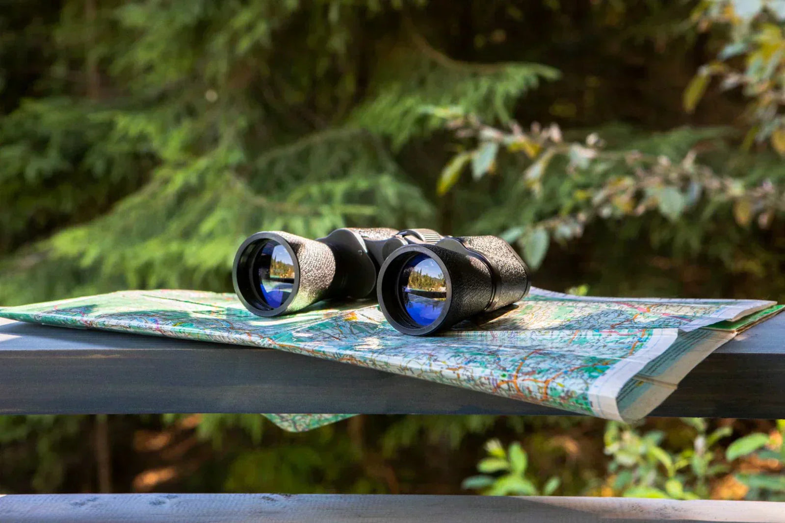 Binocular Buying Guide 2025: Best National Geographic Picks for Kids & Adults