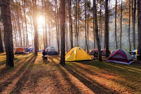 5 Rules Of Camping You Need To Know (Basics & Etiquettes)