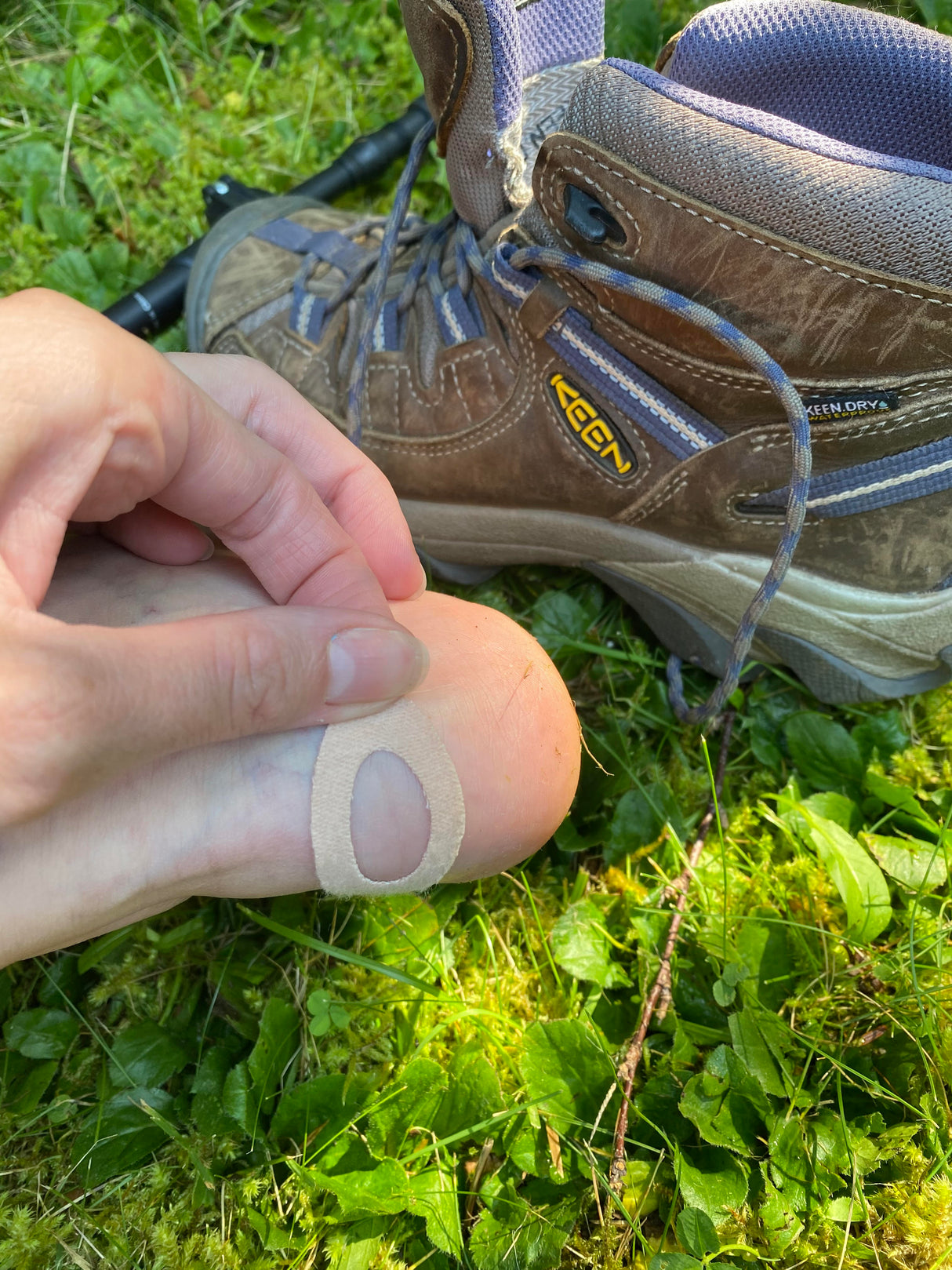 Adventure Medical Kits Moleskin Pre-Cut and Shaped Blister Dressing