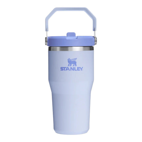 Stanley IceFlow Flip Straw Tumbler - Insulated Cup - 20 oz / 600 ml
