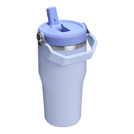 Stanley IceFlow Flip Straw Tumbler - Insulated Cup - 20 oz / 600 ml