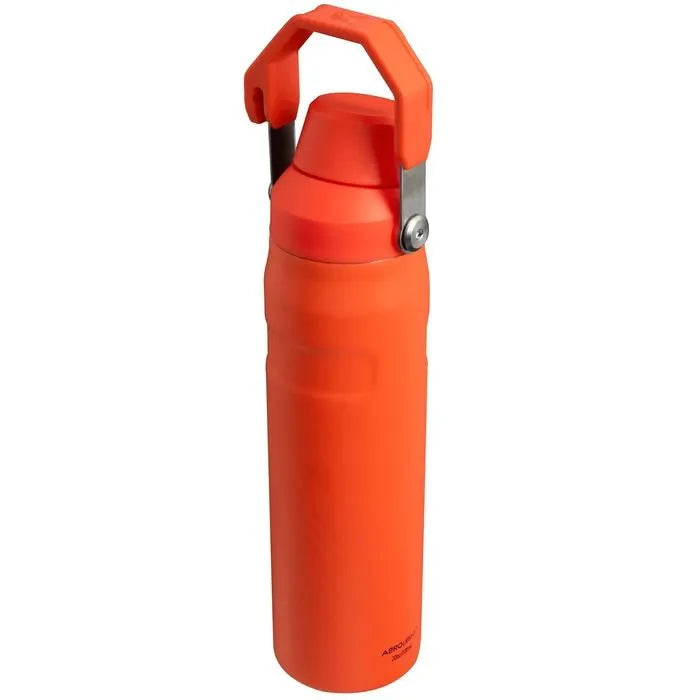 Aerolight IceFlow Water Bottle | 0.6L