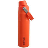 Aerolight IceFlow Water Bottle | 0.6L