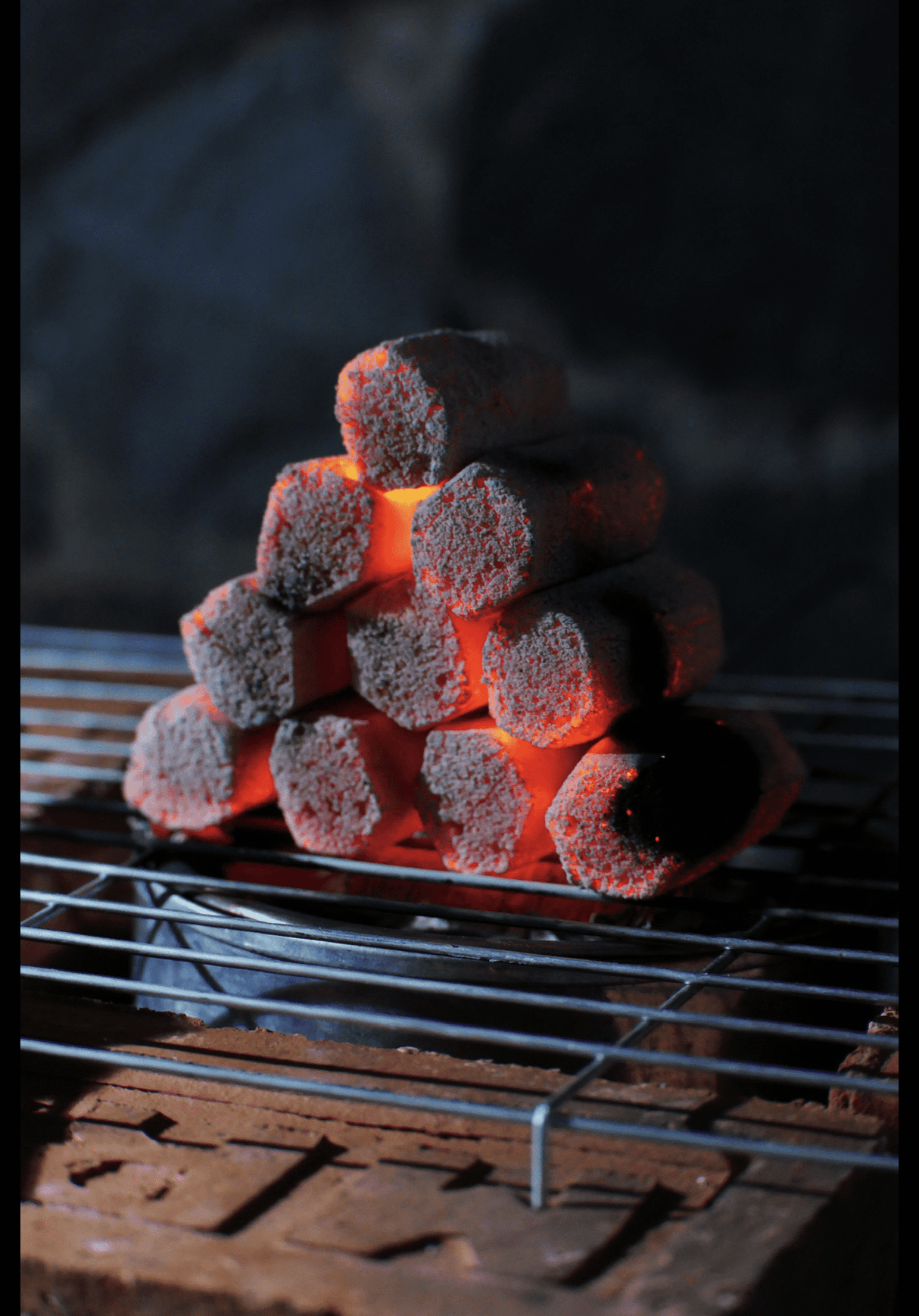 Master Grill Briquettes