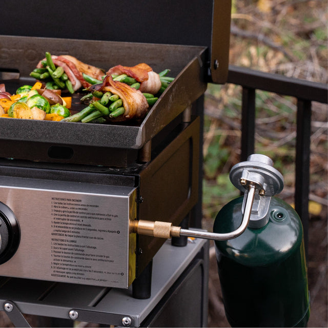 22 Inch Table Top Griddle With Hood