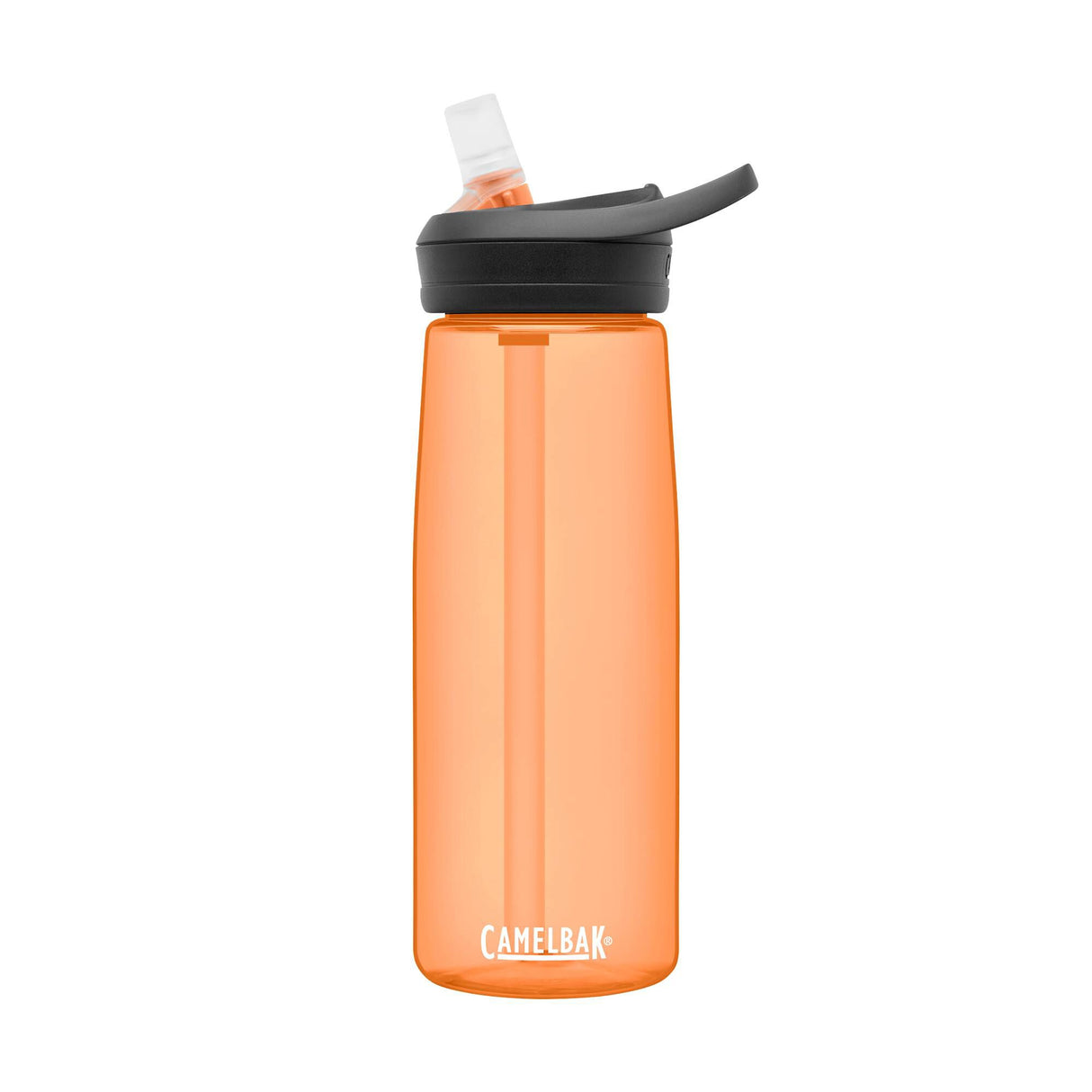 Eddy+ 25oz Bottle with Tritan Renew