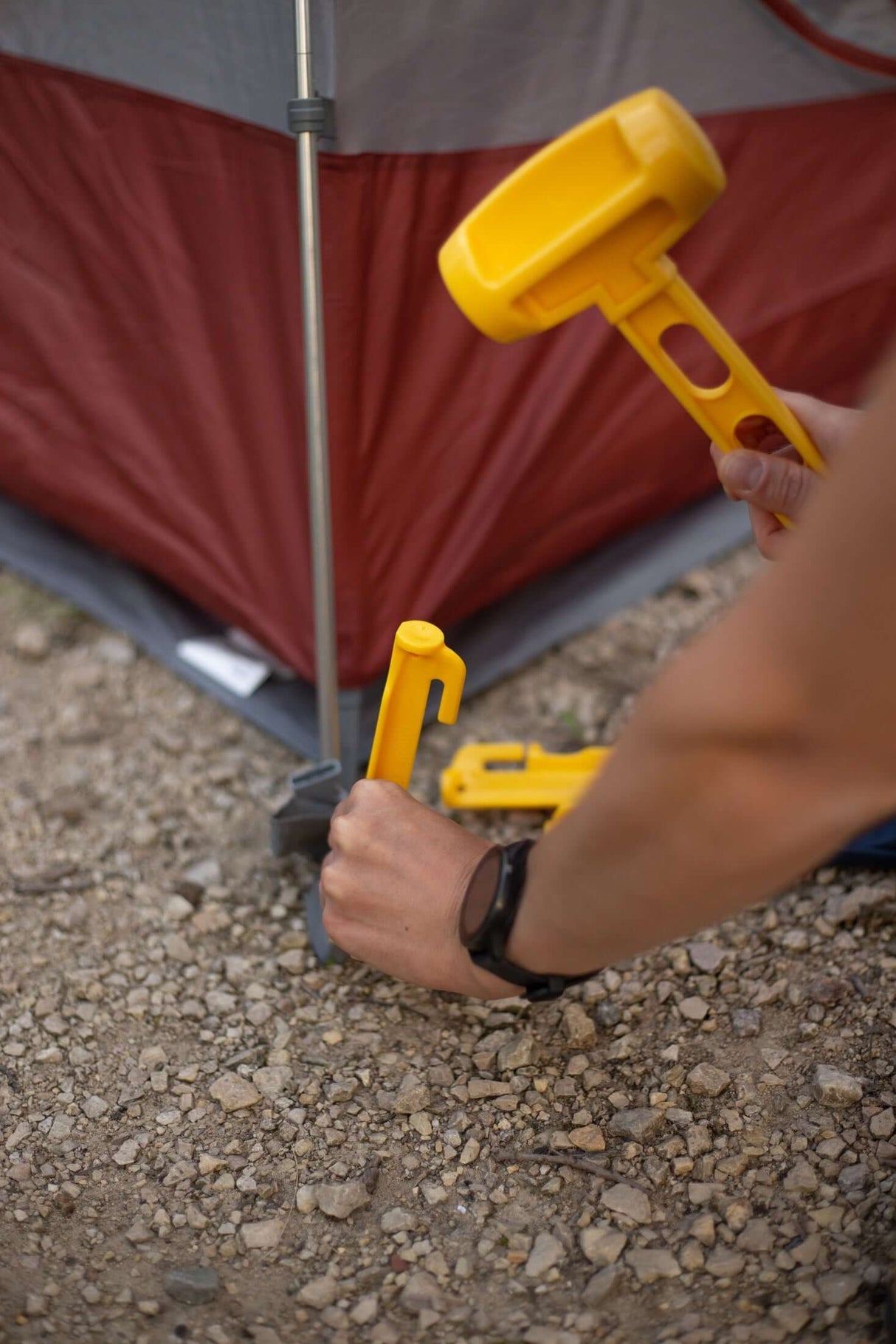 Tent Pegs 12" - 6 Pack