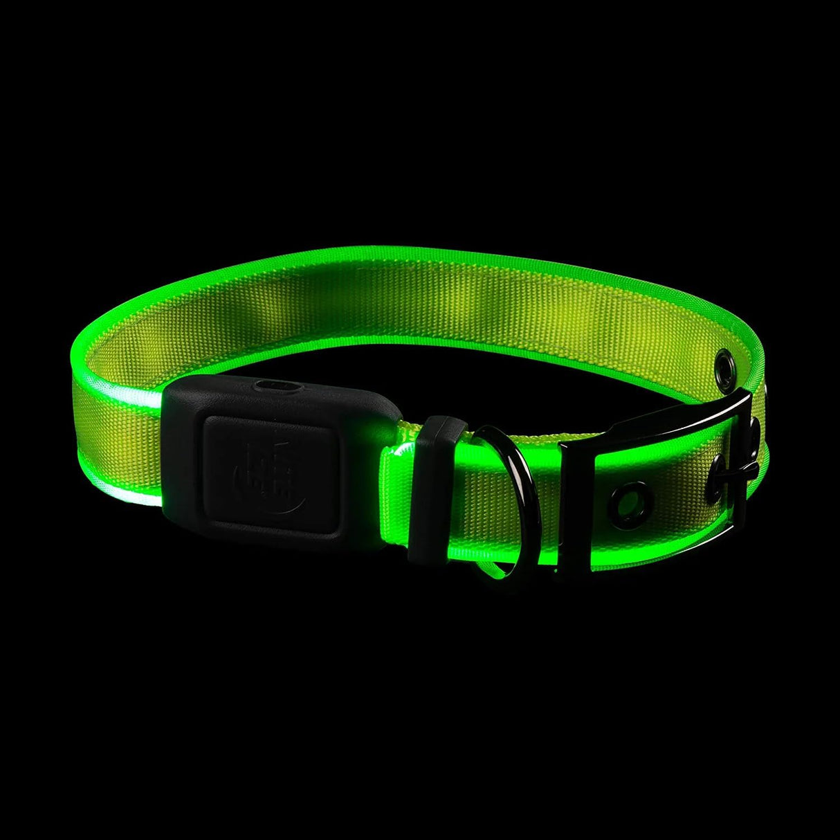 Pet Nitedog Recharg Led Dog Collar