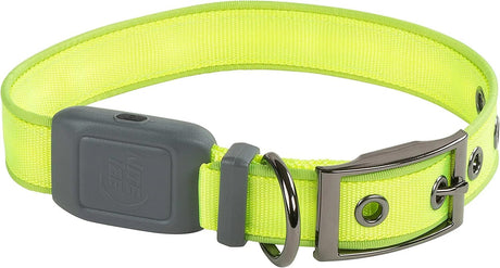 Pet Nitedog Recharg Led Dog Collar