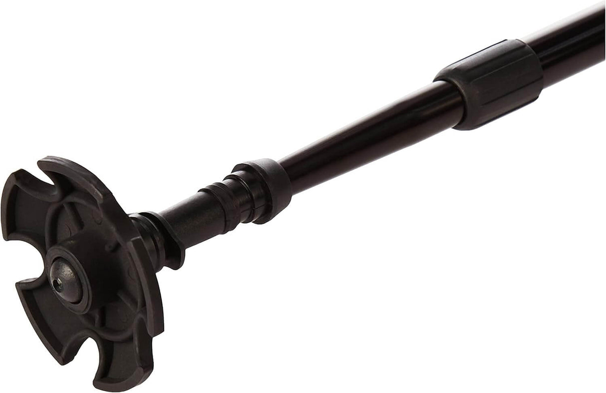 Blue Sky Trekking Pole