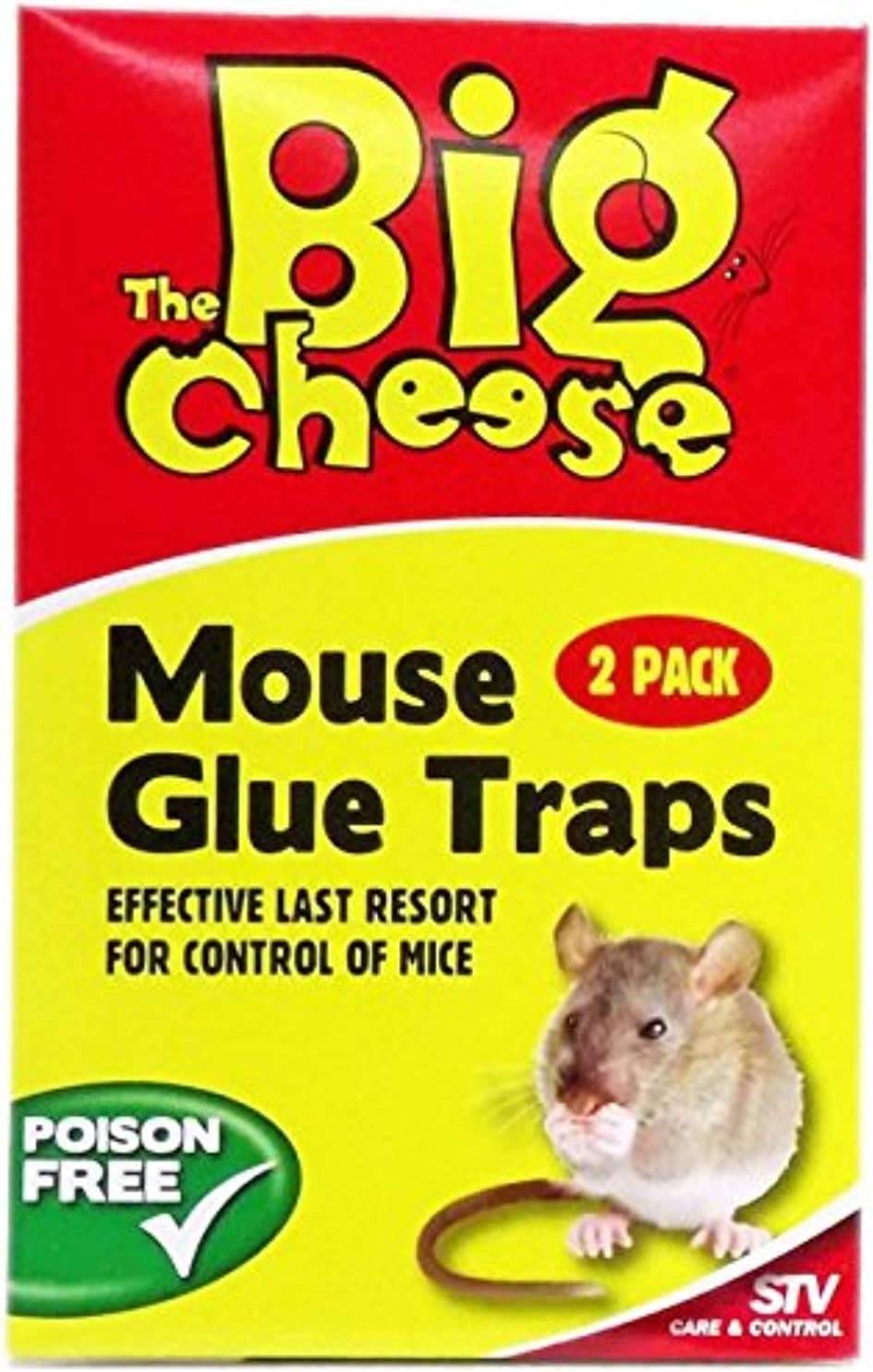 Mouse Glue Traps - 2 Pack