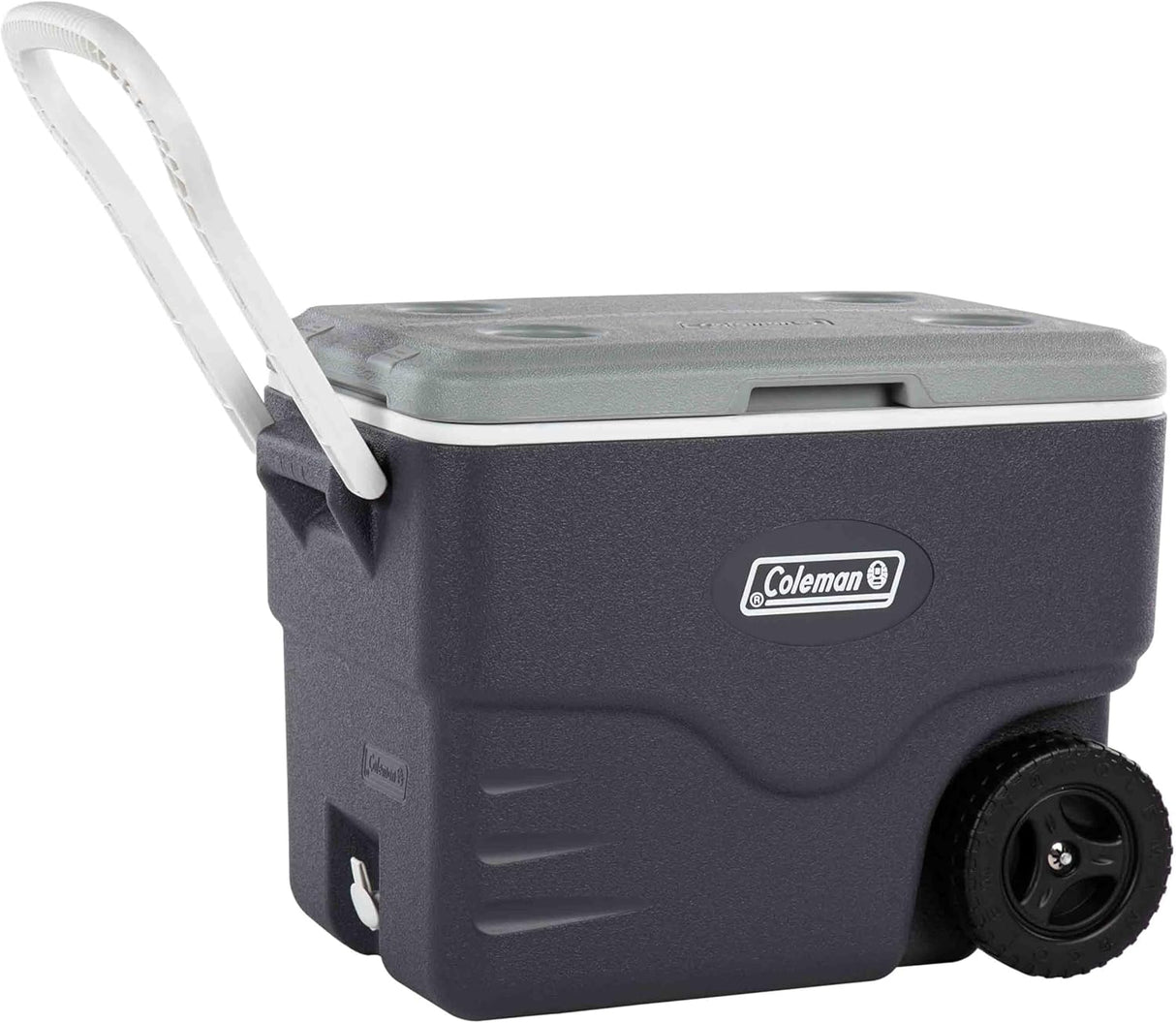 Daintree 40Qt / 38L Wheeled Hard Cooler