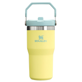Stanley IceFlow Flip Straw Tumbler - Insulated Cup - 20 oz / 600 ml