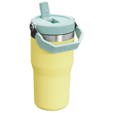 Stanley IceFlow Flip Straw Tumbler - Insulated Cup - 20 oz / 600 ml