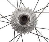 Park Tool Bottom Bracket / Cassette Lockring Tool — Campagnolo