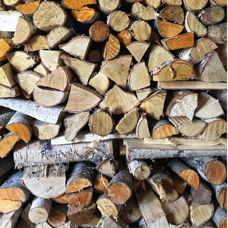 Birch Firewood