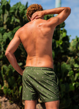 Classic Swim Shorts Flamingos - Men