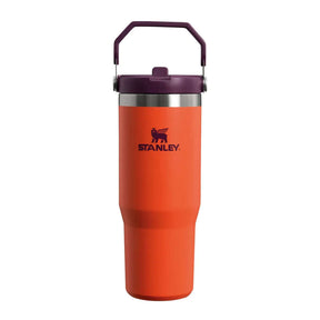 Stanley Classic IceFlow Flip Straw Tumbler - 30 oz / 890 ml